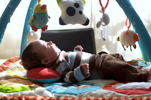 talking to the farm animals