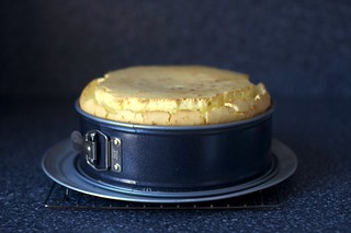 the baking process vexxed me