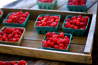 raspberries, because they were there