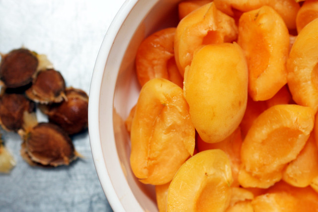 torn and pitted apricots