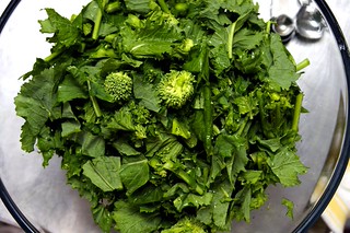rapini