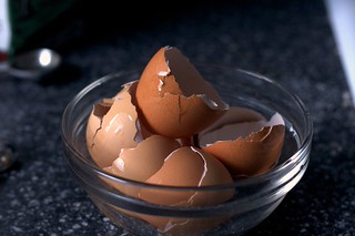 egg shells