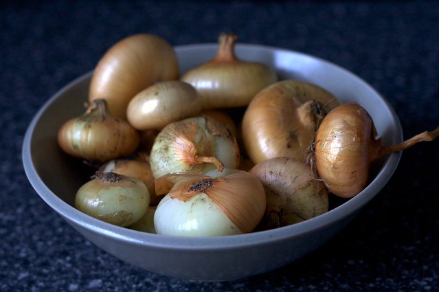 cipollini onions