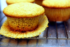 Olive Oil Muffins