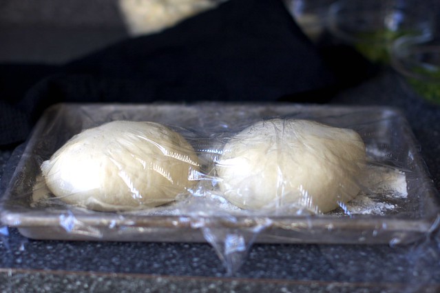 pizza dough, after night in fridge