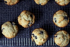 Perfect Blueberry Muffins