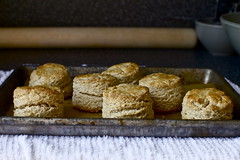 Oat and Maple Syrup Scones