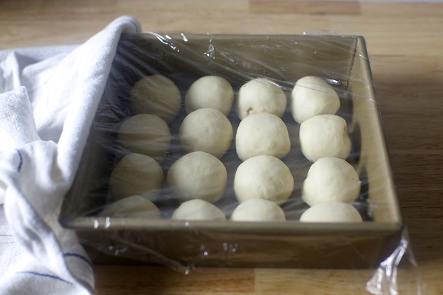 rolls, to proof