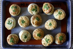 Parsley Pecorino Biscuits