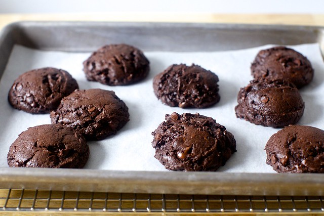 the browniest cookies