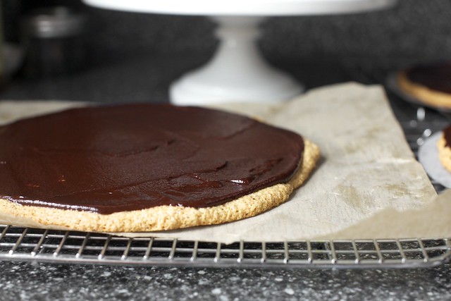 coat each disc with melted chocolate