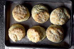 My Favorite Buttermilk Biscuits