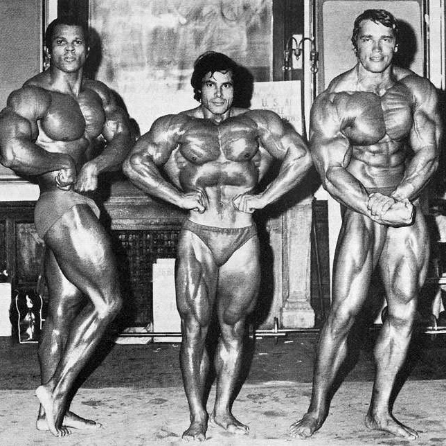 Training Age D Or Bodybuilding Entrainement Schwarzenegger