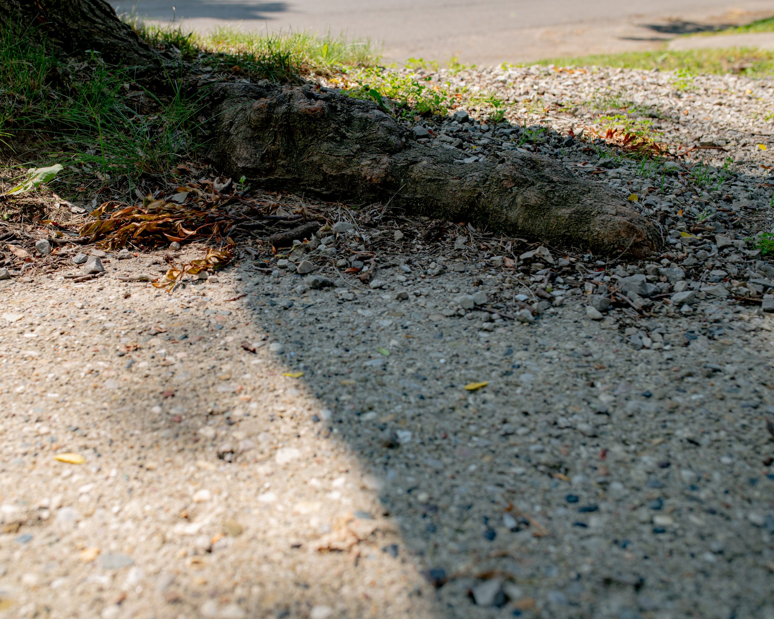 Flint seeks state aid to repair over 1,800 yards damaged by lead pipe replacement