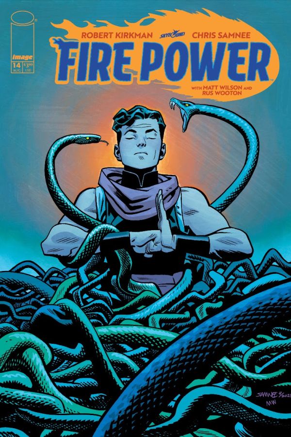 fire power 14 cover