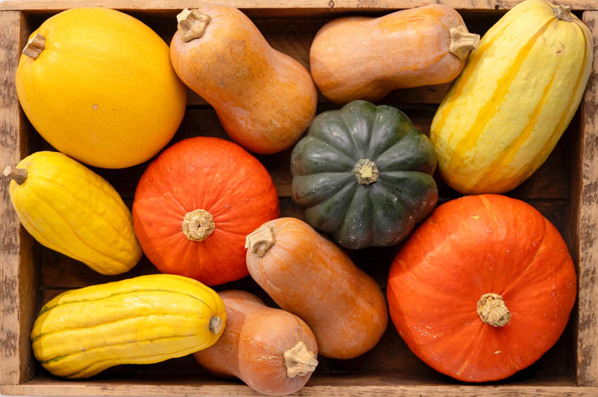 acorn squash nutrition facts