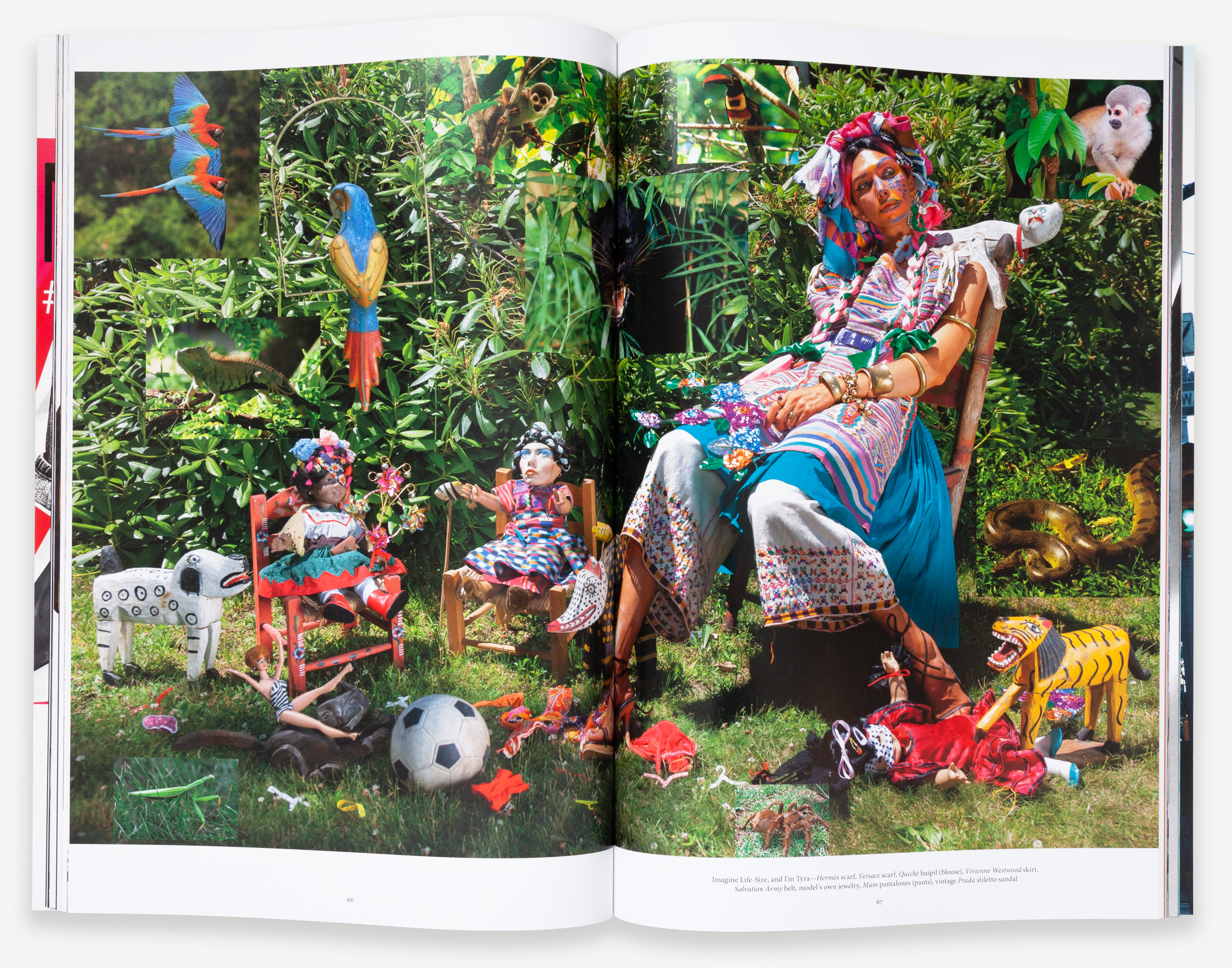 Open book of color photographs