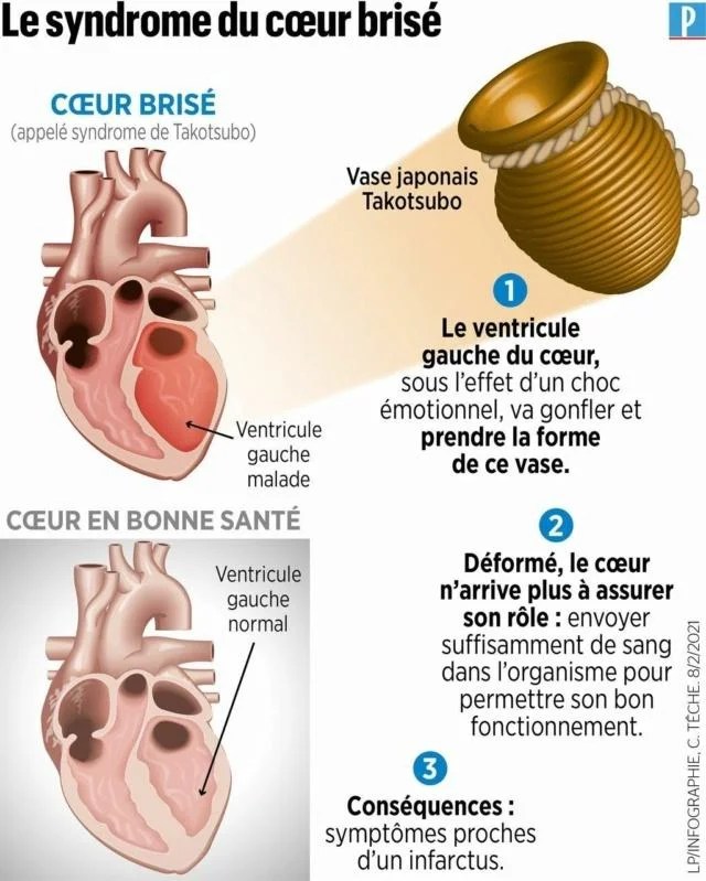 Maladie Des Coeurs Brises Francais Meme