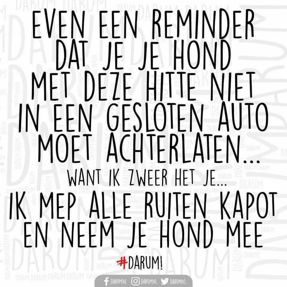 Mep Het Dier Weer Op De Piste Cryptogramme Francais Meme