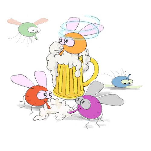 Keine Suche Nach Gesundheitsgefahrdendem Alkoholkonsum Mittels Gamma Gt Gemeinsam Gut Entscheiden