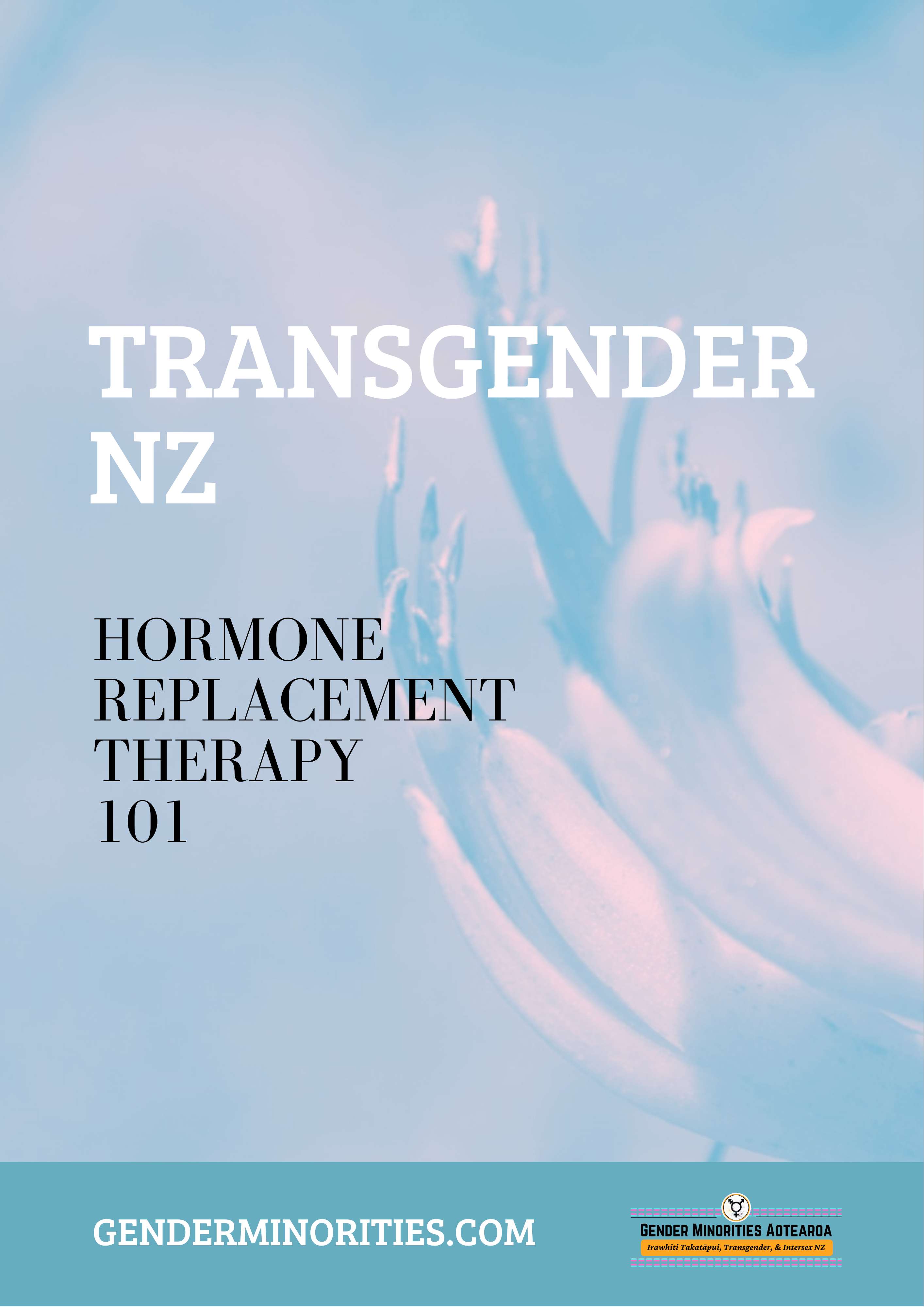 Transgender Nz Hormone Replacement Therapy 101 Gender Minorities Aotearoa