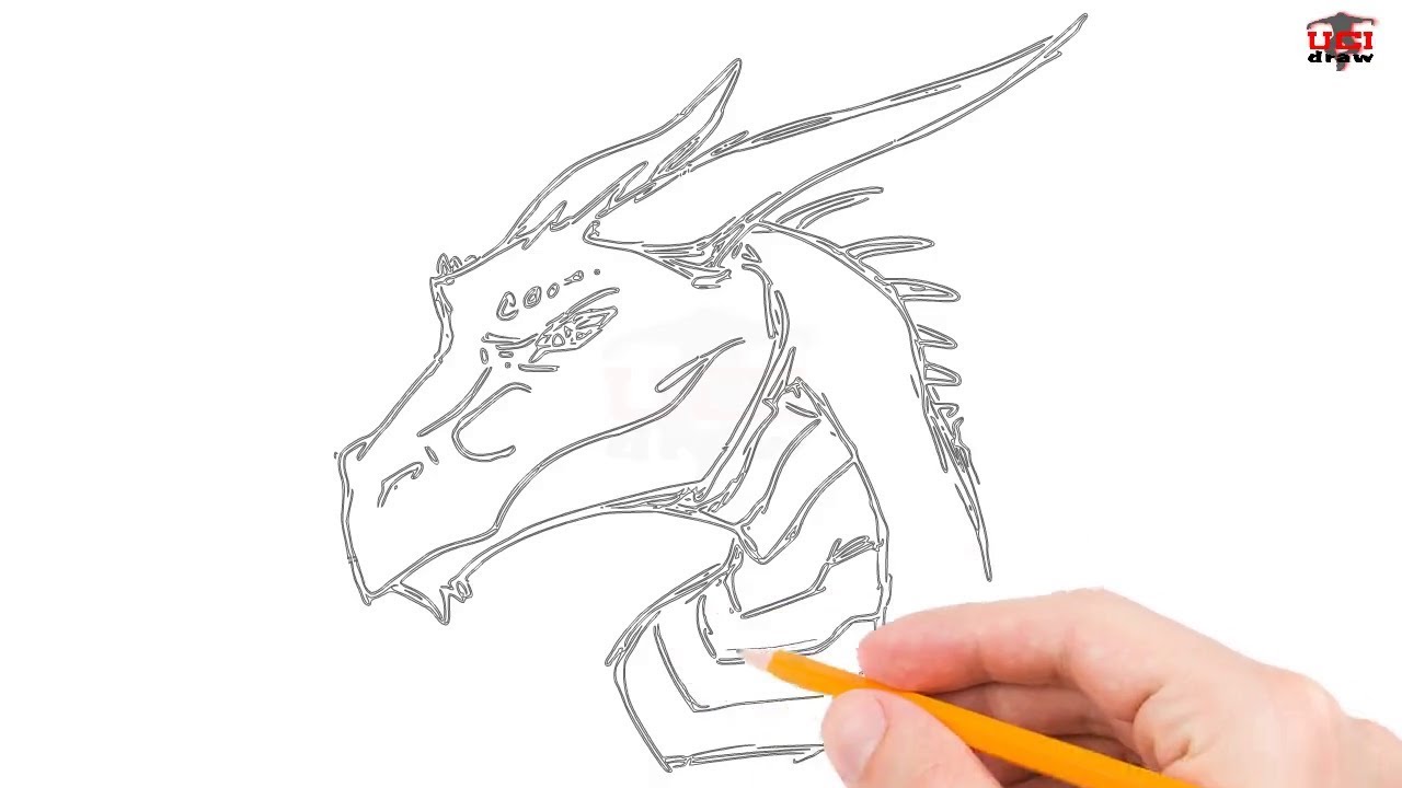 Step By Step Dragon Drawing At Getdrawings Free Download