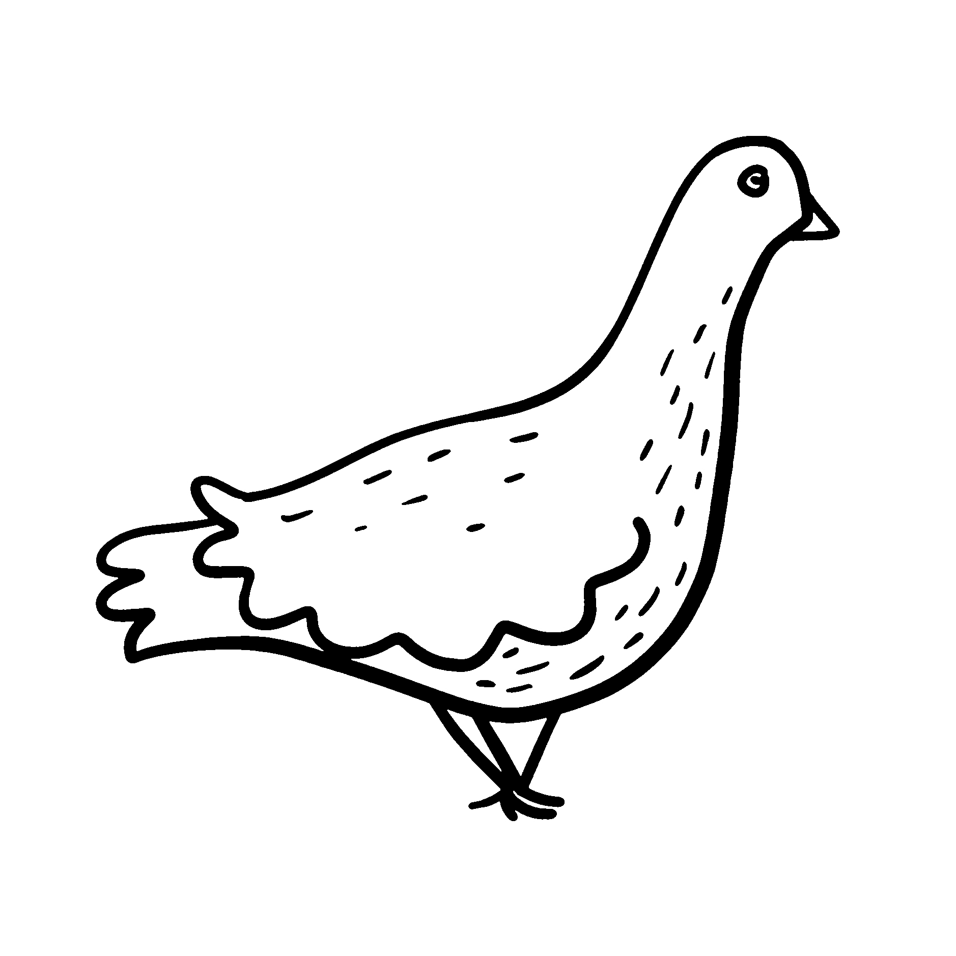 Pigeon