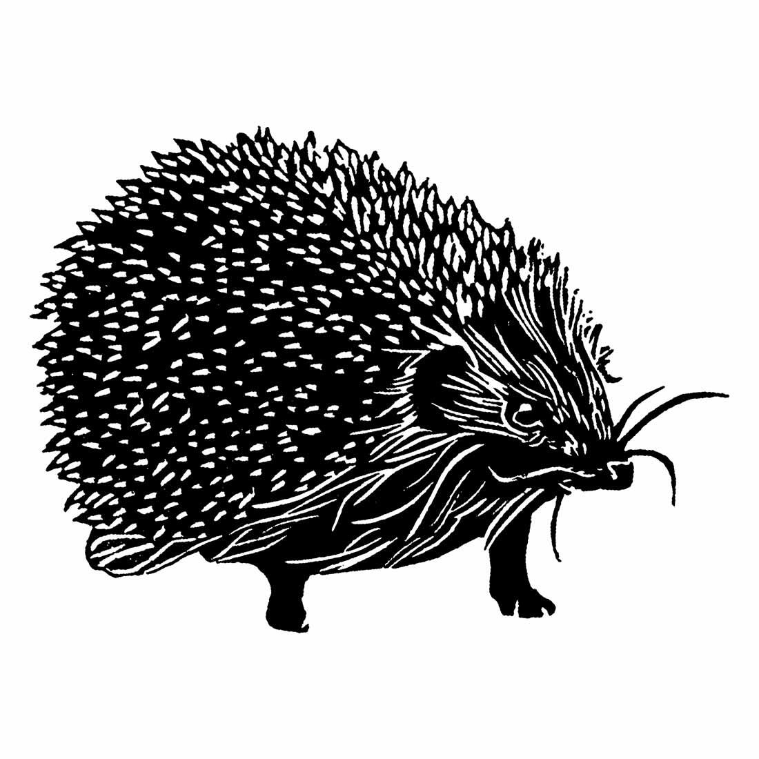 hedgehog stamp compress