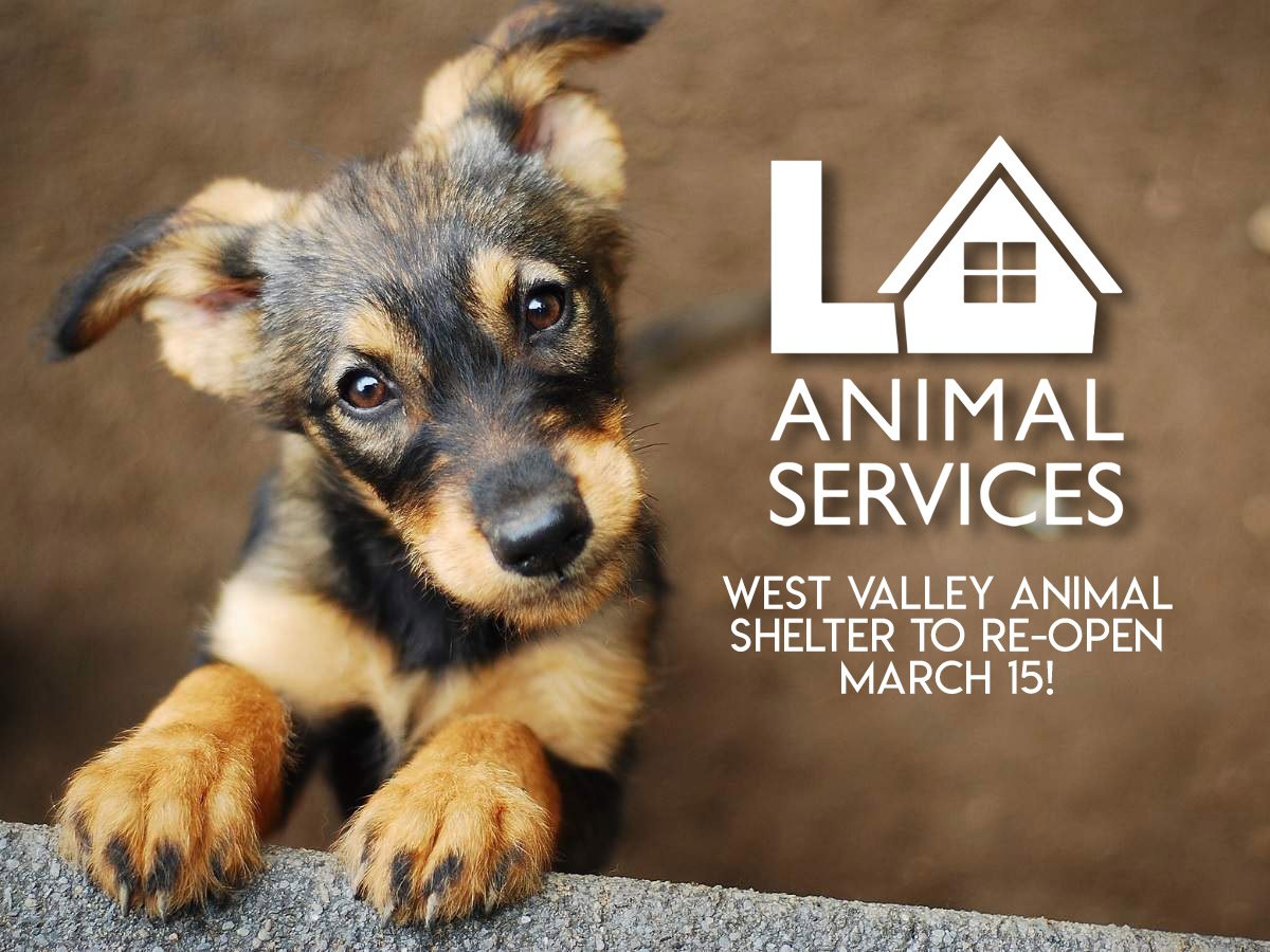 West Valley Animal Shelter To Reopen Next Week City Announces Granada Hills North Neighborhood Council