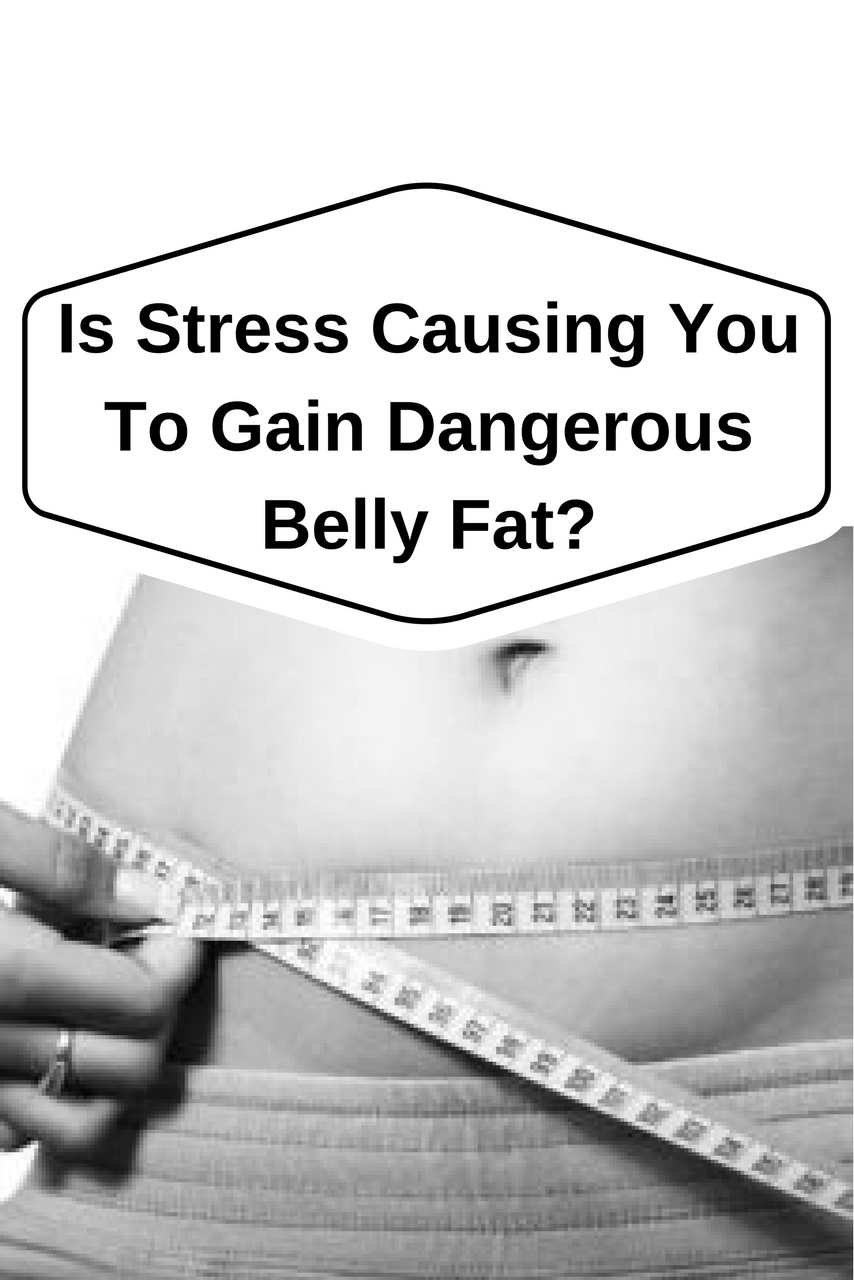 Is Stress Causing You To Gain Dangerous Belly Fat Part 1 Gluten Free Homestead