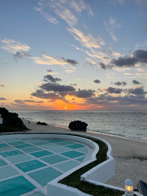 syosinnsyasuieidaietto5