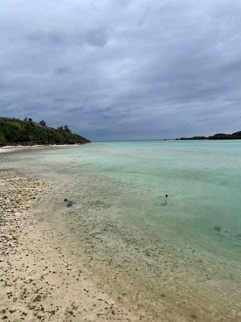 syosinnsya suieidaietto