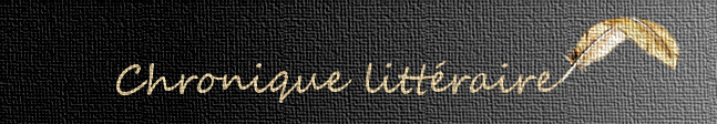 La Jeune Fille Et La Nuit Guillaume Musso Emotions Blog Litteraire