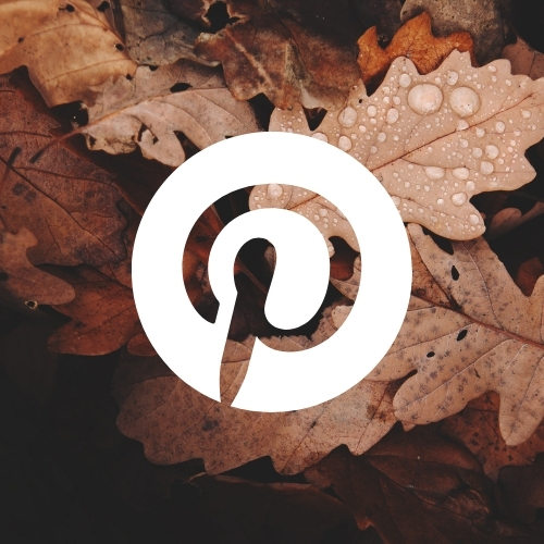 Free Fall Aesthetic App Icons Guitar Lace