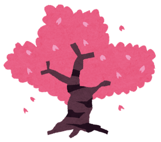 桜の木
