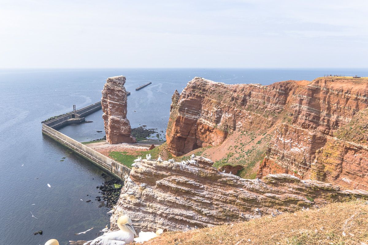 Visiting The Fishing Village Of Holm In Schleswig Hamburg And Beyond