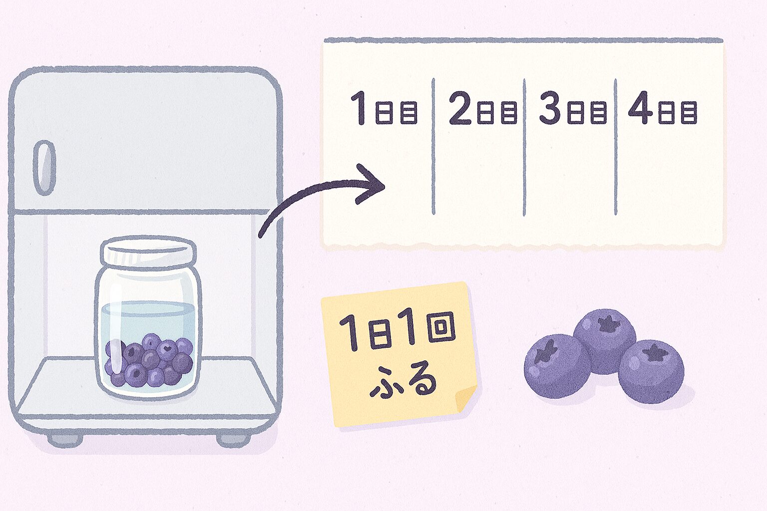 冷凍ブルーベリーとウォッカで果実酒を作るイラスト|砂糖なしの簡単手作りレシピの手順図解