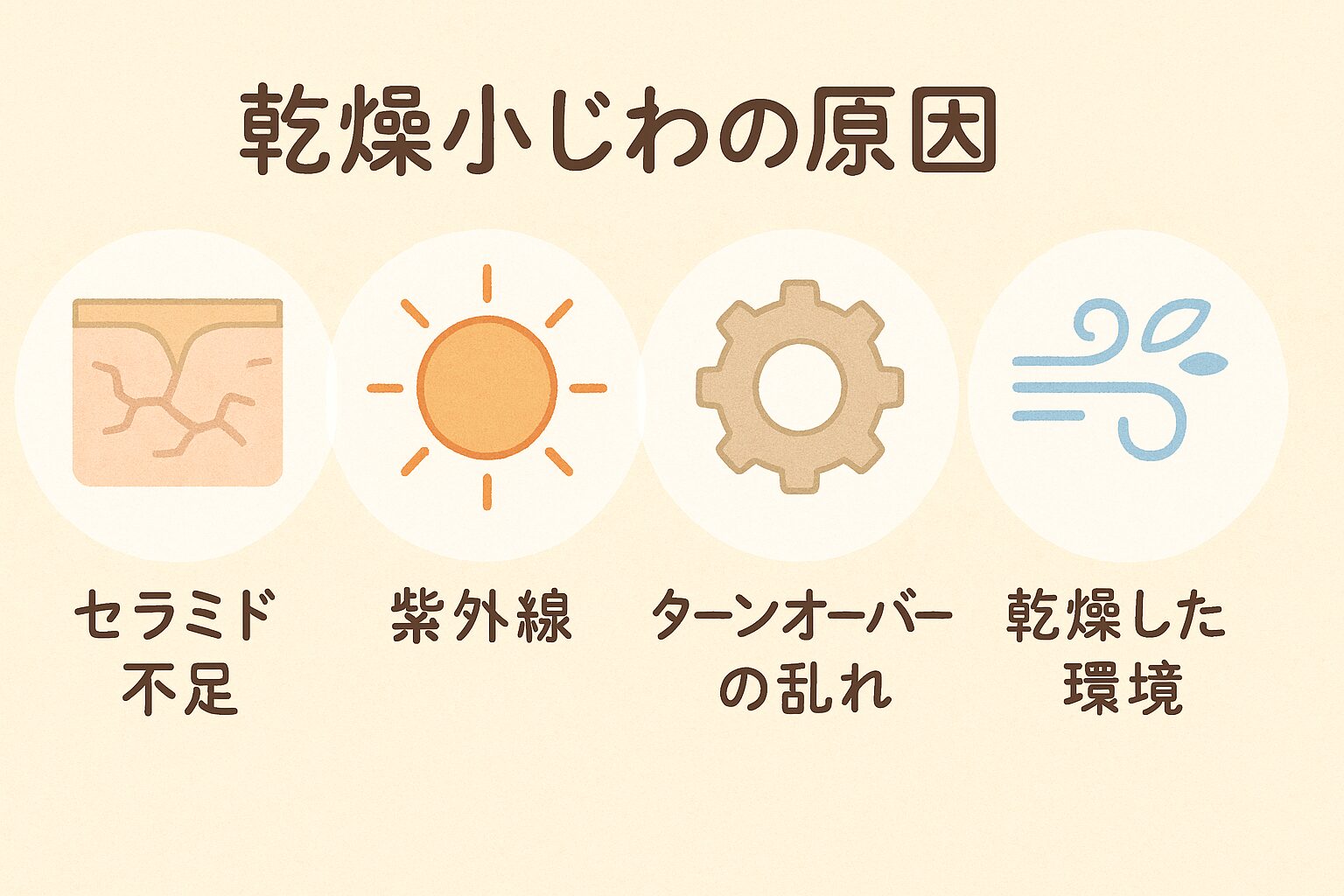 「乾燥小じわの原因（セラミド不足・紫外線・ターンオーバーの乱れ・乾燥環境）を図解で表したイラスト