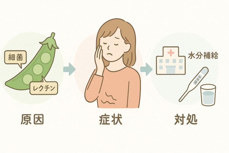 スナップエンドウによる食中毒の原因・症状・対処法を図解で表したイラスト