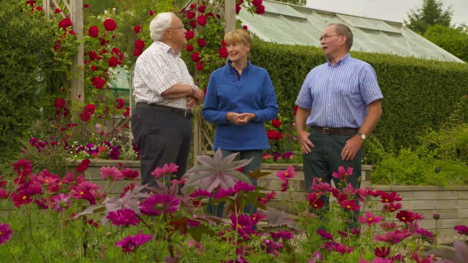 The Beechgrove Garden Episode 12 2018 How To Train Step Over Apples