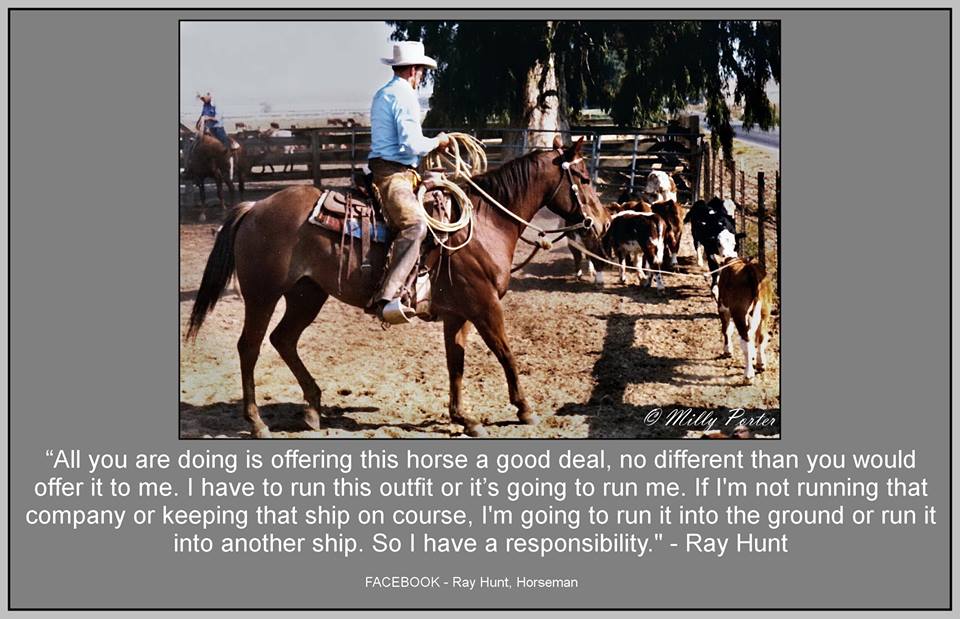 I Need A New Horse This One I Have Isn T A Good Fit Barn Sour Lazy Aggressive Too High Strung Too Slow Heart Of Phoenix Equine Education Blog