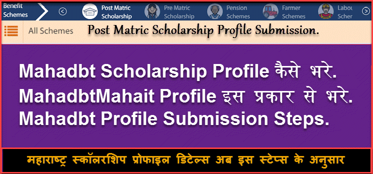 Mahadbt Scholarship Profile Example Complete Details