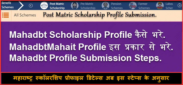 Mahadbt Scholarship Profile Example Complete Details Mahadbt Scholarship Profile Example Complete Details
