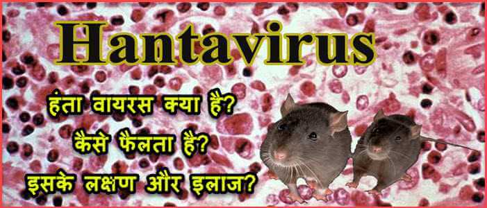 Hanta Virus क्या है? हंता वायरस के लक्षण क्या है और हन्ता वायरस कैसे फैलता है पूरी जानकारी. 1 Hanta virus kya hai lakshan aur upay