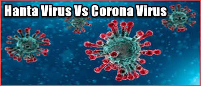 Hanta Virus क्या है? हंता वायरस के लक्षण क्या है और हन्ता वायरस कैसे फैलता है पूरी जानकारी. 3 hanta virus kya puri jankari.