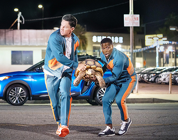 La Taille De Kevin Hart Et Comment Il Se Compare A Ses Celebres Co Stars Comme The Rock Et Mark Wahlberg Oxtero