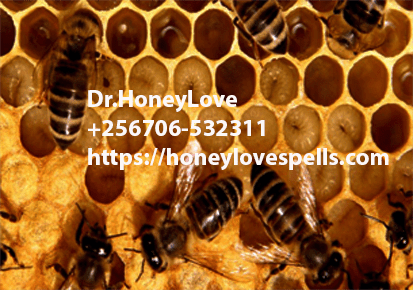 love spells,lost love spells,authentic love spells,Real Love Spells,true love spells,Spell to Make Someone Fall in Love,Spells To Remove Marriage and Relationship Problems,Truth Love Spells,Spell to Mend a Broken Heart,Rekindle Love Spells,spells to Turn Friendship to Love,Lust Spell and Sex Spells,Spells to Delete the Past,voodoo love spells,black magic love spells,witchcraft love spells, Attraction Spells,Powerful Attraction Love Spells,love spells,Attraction love Spells,black magic Attraction Spells,beauty and Attraction Spells,easy love Attraction Spells,magic spells for attraction,witchcraft Attraction Spells,Wicca Attraction Spells,voodoo Attraction Spells,real Attraction Spells,lust Attraction S