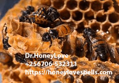 hoodoo honey and sugar spells pdf, honey jar spell for self love, honey jar drawing, hoodoo sour jar, how long does a honey jar take, honey jar spell not working, love - hoodoo, honey jar reddit, honey jar spell lipstick alley, housing spell, honey jar to attract money, how to get rid of a honey jar spell, honey jar for a job, ok google free spells, signs a honey jar spell is working, obsession jar spell, do hair growth spells really work, education spells, sour jar hex, witches bottle protection urine blood, spell jar for anxiety, herbs for protection jar, eternal beauty spell, spell to sweeten relationship, sigil for confidence, honey jar spell experience, put someone in a jar, green good luck spell, honey jar cartoon, honey jar spell results, honey dispenser, how to charge a honey jar, happiness spell jar, how long does it take sugar jar spell to work,lost love spells,Win your Lover Back,Bring back Lost Lover Spells,how to bring back a lost lover using love spells,Faithfulness Spells,Banish a Past Love Magic Spells,Making Up Spells,Mend a Broken Heart,Breaking Up With You,Stop cheating Spells"