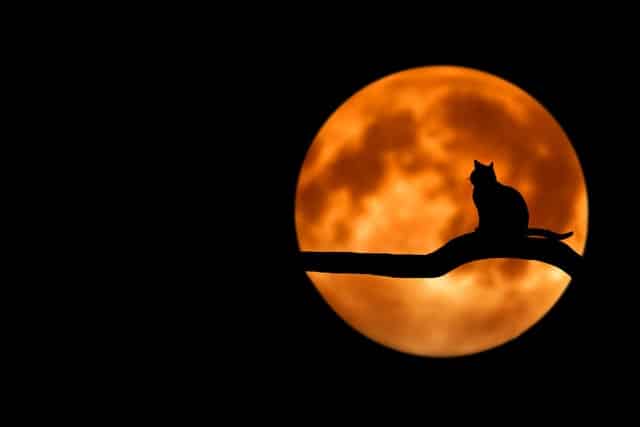 SUPER MOON LOVE SPELLS, SPELLS TO GET OVER A BROKEN HEART.