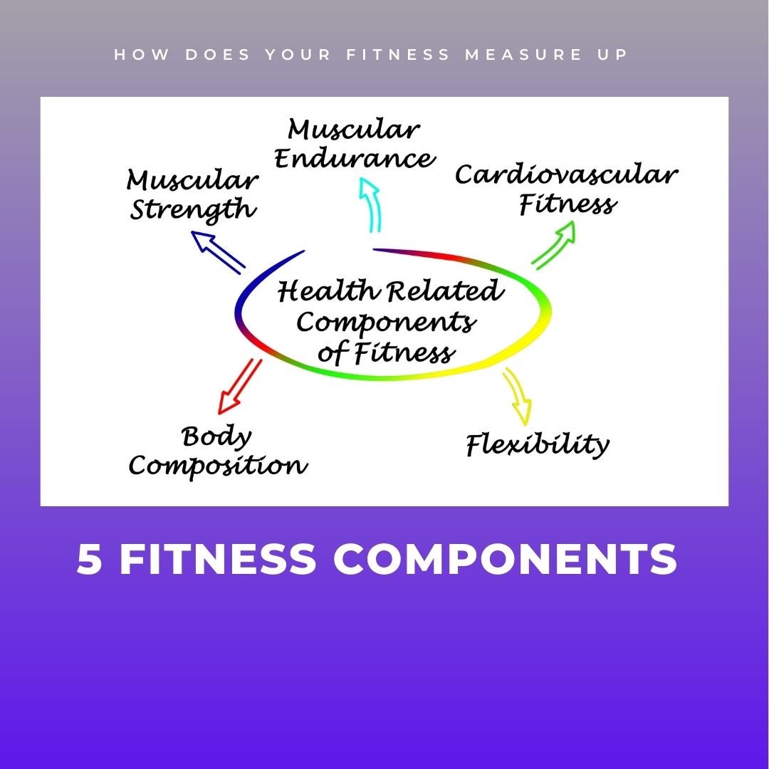 The Five Components Of Fitness In Personal Training Emac Certifications